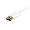 StarTech Mini DisplayPort to DisplayPort Adapter(White)