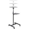 StarTech.com Mobile Standing Desk – Portable Sit Stand Ergonomic Height Adjustable Cart on Wheels – Rolling Computer/Laptop Workstation Table with Locking One-Touch Lift for Teacher/Student (STSCART2)(Mobile Projector and Laptop Stand)