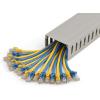 StarTech.com Open Slot Cable Management Raceway with Cover, 1-1/2″(38mm) W x 1″(25mm) H – 6.5ft(2m) Length – 1/4″(8mm) Slots, PVC Network Cable Hider/Wall Wire Duct, Max 20 Cables, UL Listed, TAA(3.0 in (75 mm) x 2.0 in (5 cm))