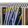 StarTech.com Open Slot Cable Management Raceway with Cover, 1-1/2″(38mm) W x 1″(25mm) H – 6.5ft(2m) Length – 1/4″(8mm) Slots, PVC Network Cable Hider/Wall Wire Duct, Max 20 Cables, UL Listed, TAA(3.0 in (75 mm) x 3.0 in (75 mm))
