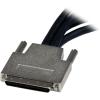 StarTech.com VHDCI to Quad DVI-D Splitter Breakout Cable – VHDCI (M) to 4 port DVI-D (F) Cable for NVIDIA & VisionTek Graphics Cards (VHDCI24DVI)(VHDCI to 4x DVI-D)