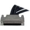 StarTech.com VHDCI to Quad DVI-D Splitter Breakout Cable – VHDCI (M) to 4 port DVI-D (F) Cable for NVIDIA & VisionTek Graphics Cards (VHDCI24DVI)(VHDCI to 4x DVI-D)