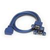 StarTech.com 2 Port Panel Mount USB 3.0 Cable – USB A to Motherboard Header Cable F/F (USB3SPNLAFHD), Blue(1 Count (Pack of 1))