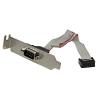 StarTech.com 9 Pin Serial Male to 10 Pin Motherboard Header LP Slot Plate – Serial panel – DB-9 (M) to 10 pin IDC (F) – 9.1 in – gray – PLATE9MLP, grey(1 Count (Pack of 1))