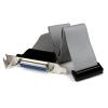 StarTech.com Low Profile 16in Parallel Port Header Cable Adapter w/ Bracket – DB25 to IDC26 Parallel Port Bracket DB-25 (F) to IDC 26 (F) (PLATE25F16LP), Gray(1 Count (Pack of 1))