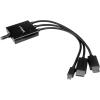 StarTech.com 2m 6 ft HDMI, DisplayPort or Mini DisplayPort to HDMI Converter Cable – HDMI, DP or Mini DP to HDMI Adapter Cable (DPMDPHD2HD),Black