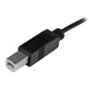 StarTech.com Câble USB 2.0 USB-C vers USB-B de 1 m – Cordon USB C vers B – Mâle / Mâle – Noir (USB2CB1M)(1 m)