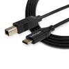 StarTech.com Câble USB 2.0 USB-C vers USB-B de 1 m – Cordon USB C vers B – Mâle / Mâle – Noir (USB2CB1M)(2 m)