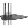 StarTech.com Chariot TV pour écran de 32 po à 75 po – Réglage de la hauteur sans effort (STNDMTV70)(Single TV)